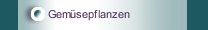 Gem&uuml;sepflanzen