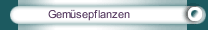 Gem&uuml;sepflanzen